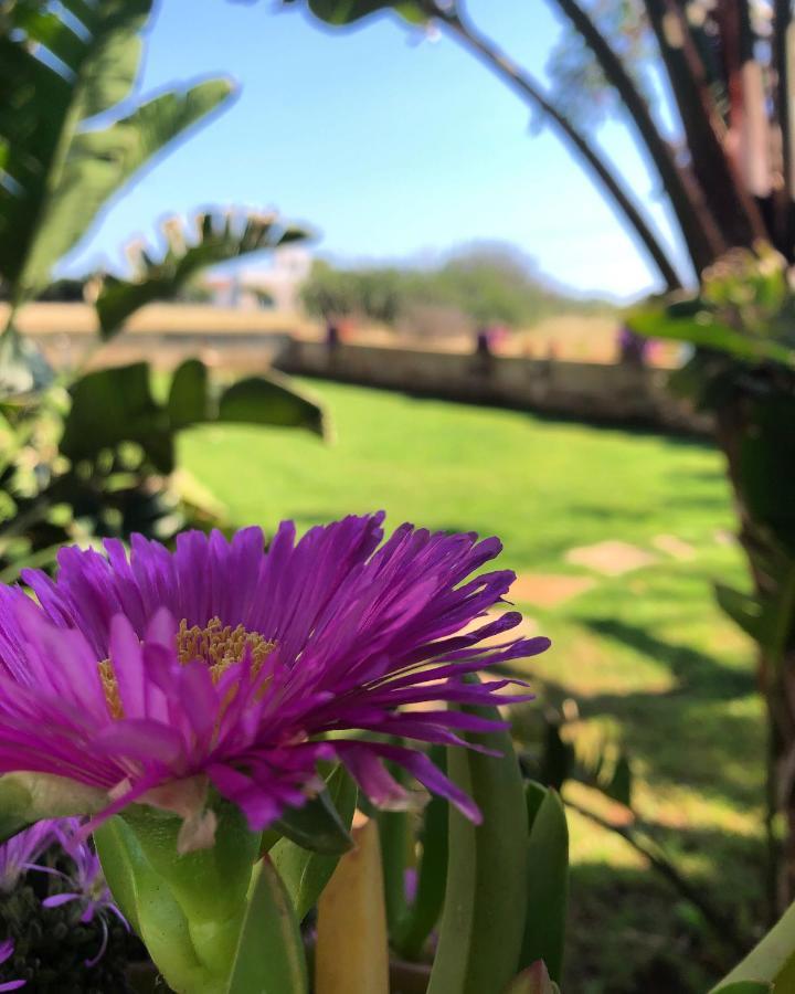 Villa Rosa Zona Torre San Giovanni
